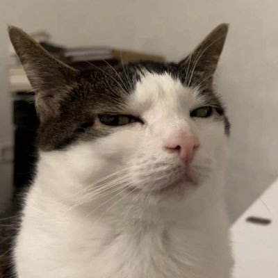 lifeasarchive's profile picture