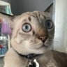 Cloud98's profile picture