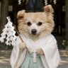 denkisinger_55's profile picture