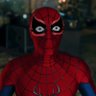 Profilbild von Spider-Manhausen