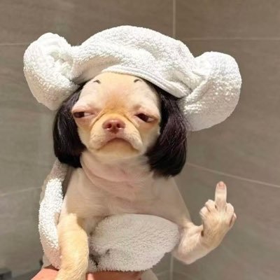 ✨ℬ𝓀𝒸𝒽𝑒𝑒𝓈𝑒 𝓈𝓂𝒾𝓁𝑒𝓎 🫧's profile picture