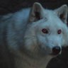 Profilbild von felix