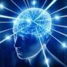 Profilbild von Galaxy Brain