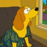 Profilbild von Joy TheBeagles