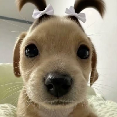 00K&คาปิบาร่า ชน์'s profile picture