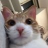 Profilbild von .