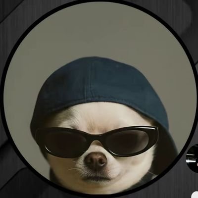254_Rock's profile picture