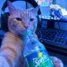 pep 的头像