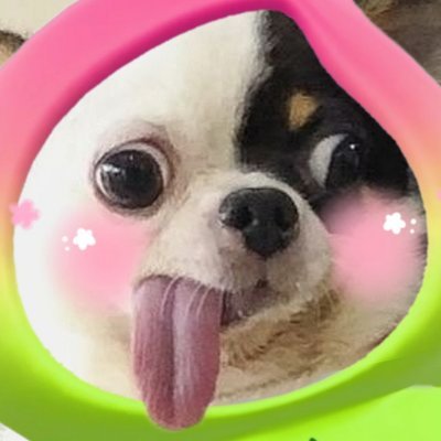 ♬⋆.˚𝓟𝓸𝓵𝓪𝓻 𓏲ּ𝄢's profile picture