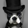 Malome Cebi's profile picture