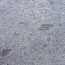 Фото профиля kkkkk