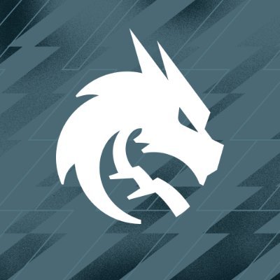 Team Spirit CS2's profile picture