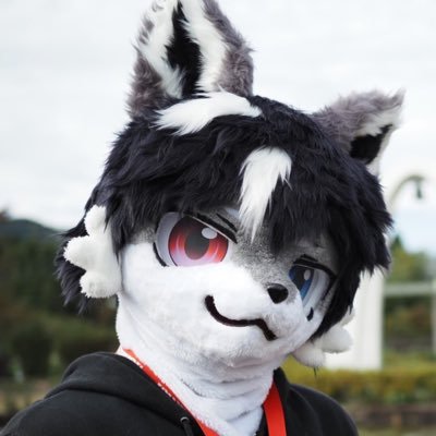 dragon_ae86's profile picture