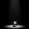 Peter's profile picture