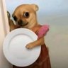 Austine's profile picture