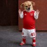 HotFootyTakes's profile picture