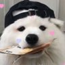 Profilbild von J.🩷🩵 #เฮียภูหนูเอ ݁ ˖Ი𐑼⋆