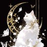 Profilbild von 月(tsuki)