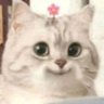 แงวเองนัมเบอร์2 𑄝੭ profil fotoğrafı