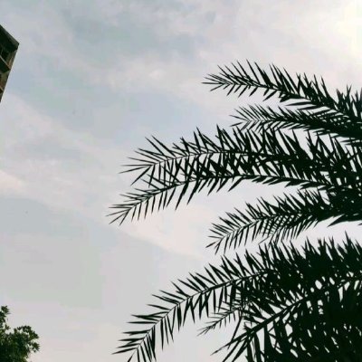 Herleemer Bubu's profile picture