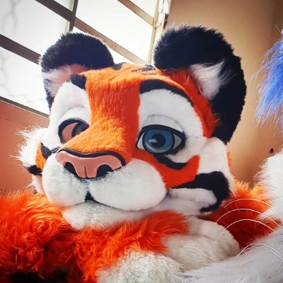 Zeng Tiger 🇧🇷's profile picture