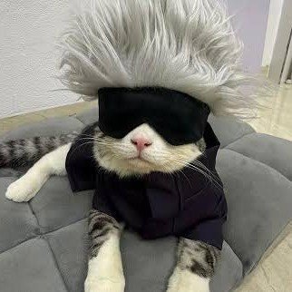 belovedbiblebi's profile picture