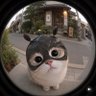 มัมหมีทุกด้อม profil fotoğrafı