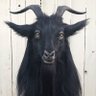 Фото профиля OVRRKILL, the creator
