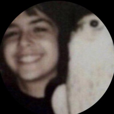 شامان-فتى رحيمة🌴's profile picture