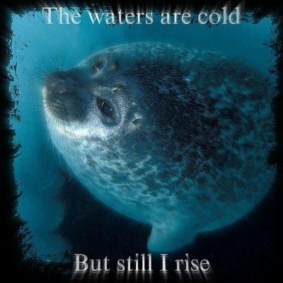 eaissilyysack's profile picture