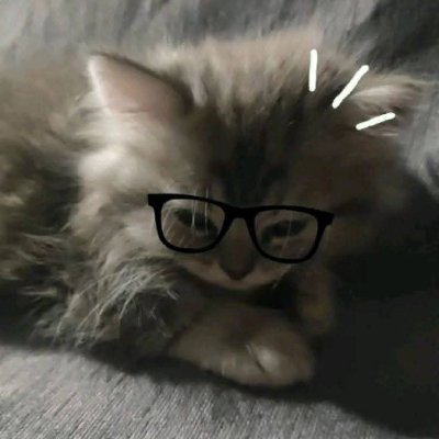 Rungnapa_Phu's profile picture