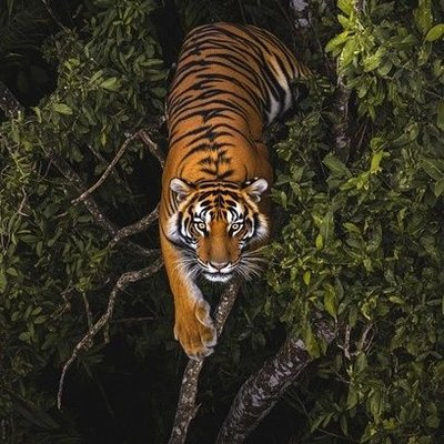 about_thenature's profile picture