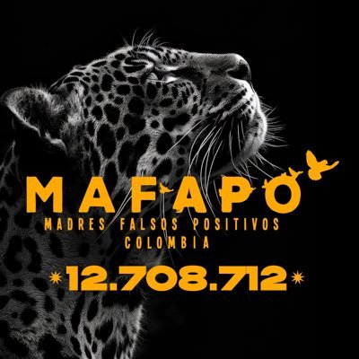 MAFAPOCOLOMBIA's profile picture