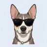 zoe _chacha.'s profile picture