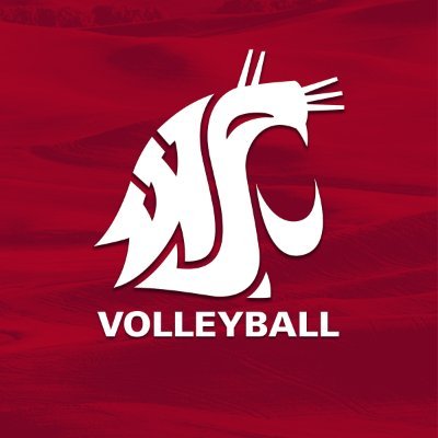 WSUCougarsVB's profile picture