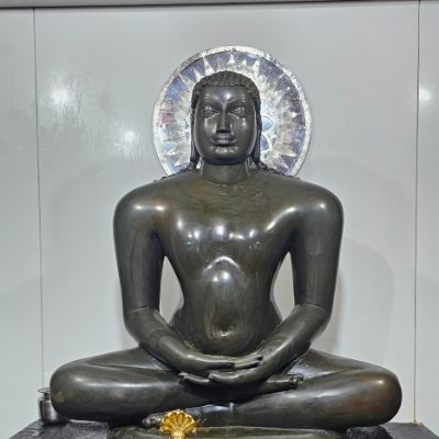 VeerSava's profile picture