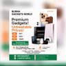 Burna Gadgets World profil fotoğrafı
