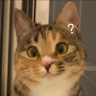吃不下了's profile picture