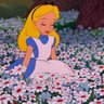 dreamgirl 🪷 的头像