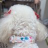 また今年も懲りずに難関資格試験に挑戦 profil fotoğrafı