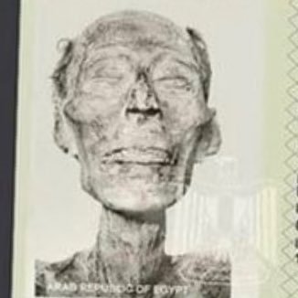 realsp00kface's profile picture