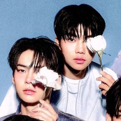 거니하니.zip's profile picture