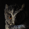 Profilbild von Spencer