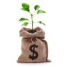 Smart Investor's profile picture