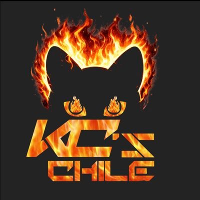 KatyCats Chile's profile picture