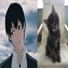 Фото профиля sakitty