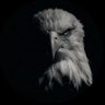 NOFAL 🦅's profile picture