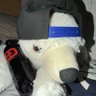 Leafsglazer67's profile picture