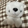 Profilbild von もちゃ