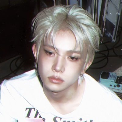 🦇🇦🇷Mely⁷𖹭ENHYPEN IS 7's profile picture